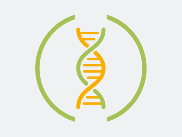 Grafische Darstellung DNA Grafische Darstellung DNA